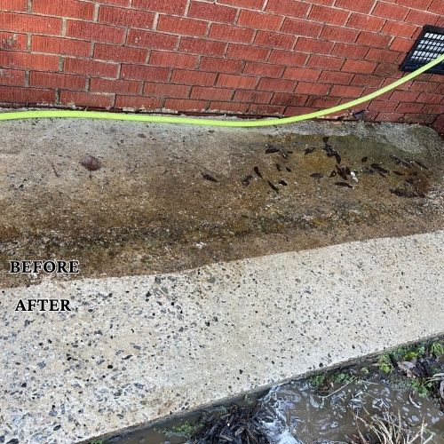 Concrete Sidewalk Cleaning Completed in Greenwood, SC